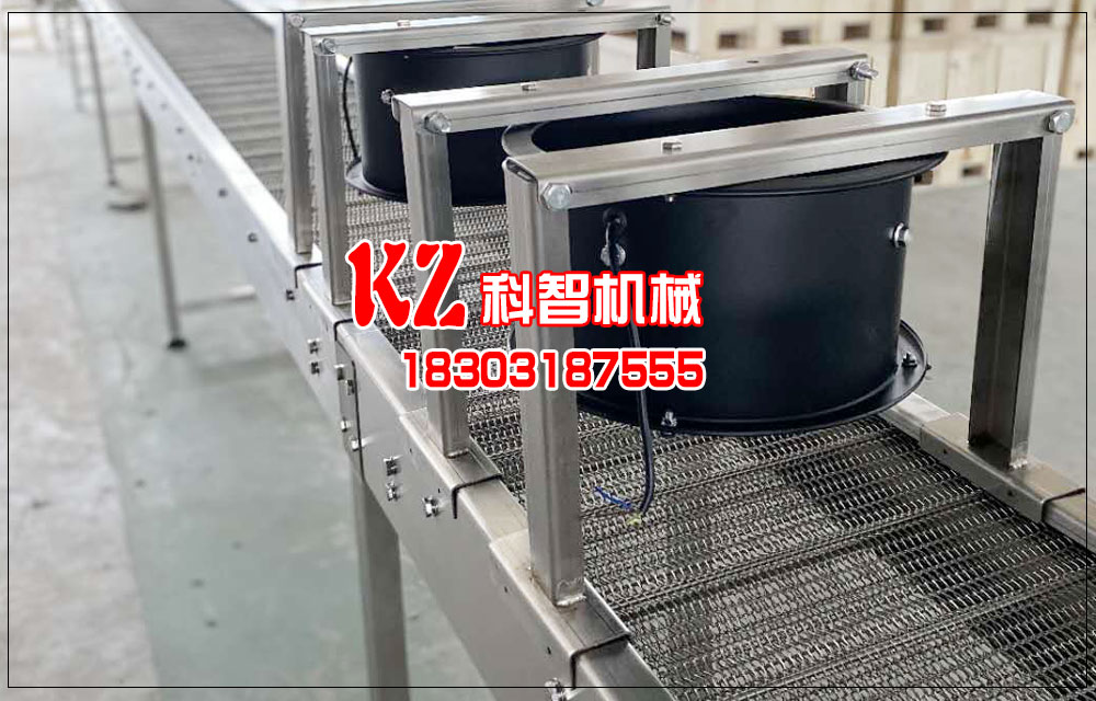 清洗提升不銹鋼網(wǎng)帶輸送機(jī)